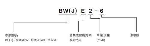 BW(J) E 全集成智能变频泵